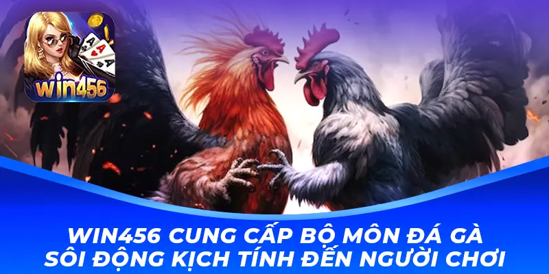 Win456 cung cấp bộ môn đá gà sôi động kịch tính đến người chơi