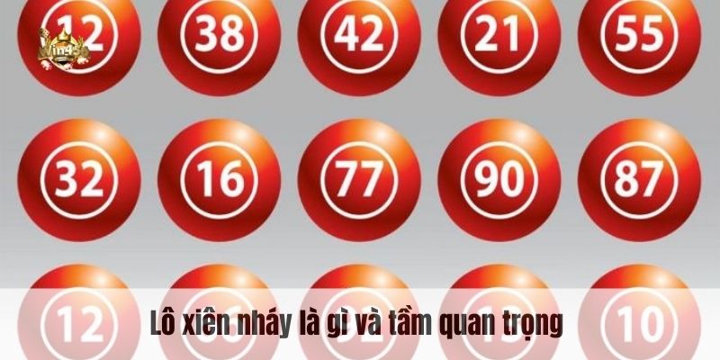 Lô xiên nháy là gì và tầm quan trọng 