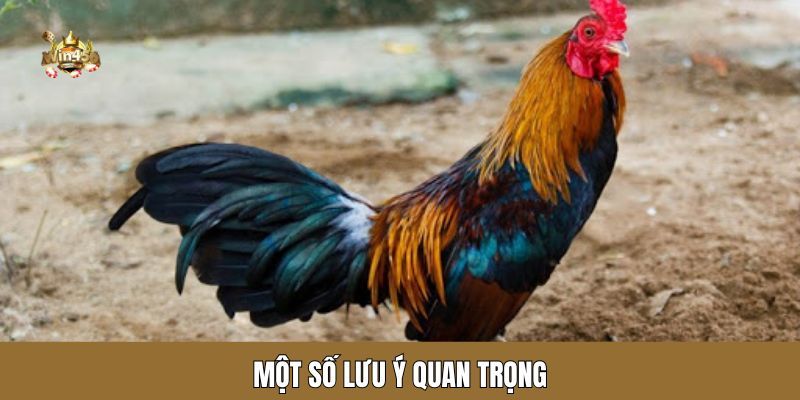 Một số lưu ý quan trọng