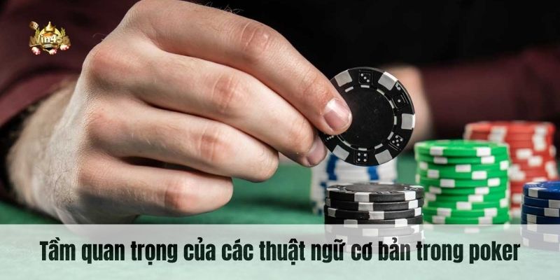 Tầm quan trọng của các thuật ngữ cơ bản trong poker